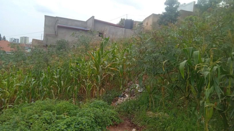 kigali-land-for-sale-in-gisozi-big-3