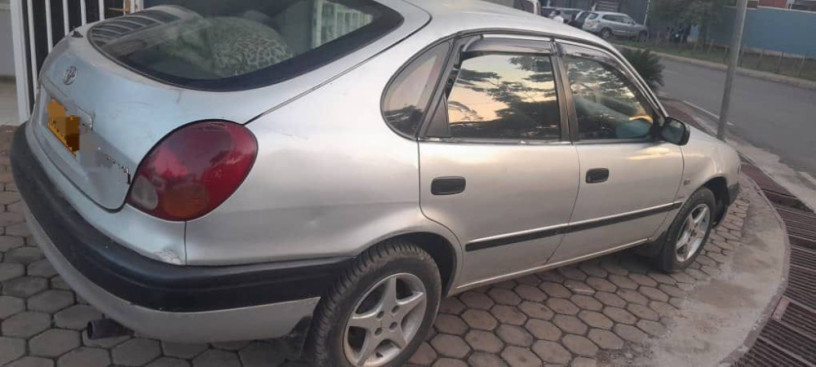 corolla-maco-big-0