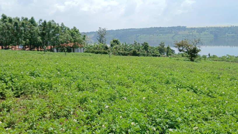 gatsibo-muhazi-plot-for-sale-big-8