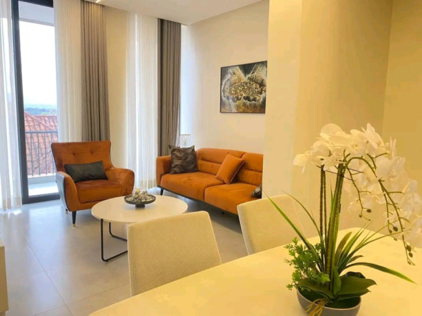 furnished-2bedrooms-apartment-for-rent-at-800-in-good-location-big-3