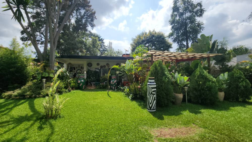 kigali-house-for-rent-in-kiyovu-big-0