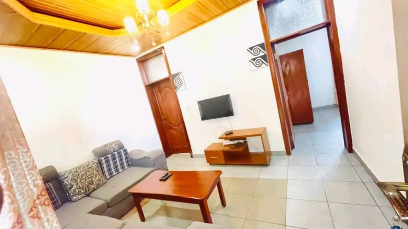 remera-fully-furnished-apartment-for-rent-in-kigali-big-2