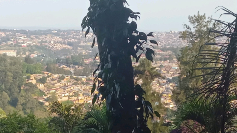 kigali-land-for-sale-in-kiyovu-big-1