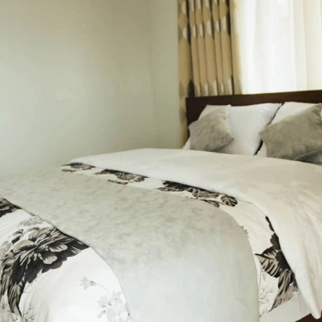 full-furnished-apartments-for-rent-in-rebero-big-7