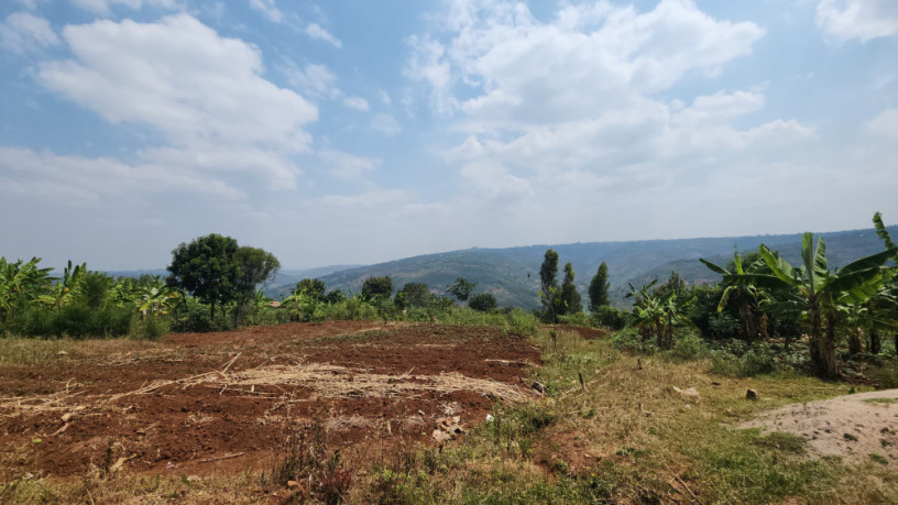 land-for-sale-in-runda-ruyenzi-big-2