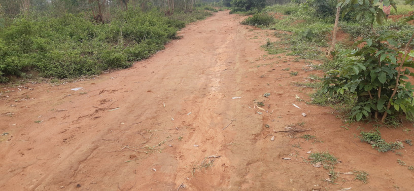 residential-plot-for-sale-in-bugesera-near-airport-hot-deal-juru-big-0