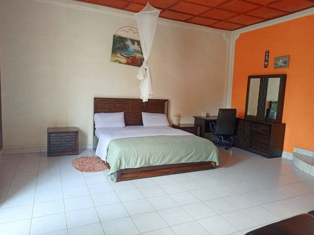 kigali-fully-furnished-house-of-4-bedroom-for-rent-in-gishushu-big-7