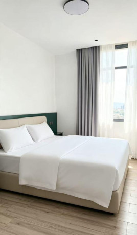 remera-kisimenti-fully-furnished-2bedrooms-apartment-for-rent-at-1200-in-good-location-big-3