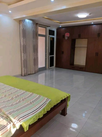 fully-furnished-apartment-for-rent-in-kacyiru-near-american-embassy-in-good-location-big-3
