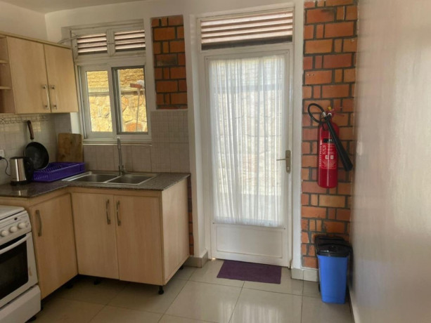 fully-furnished-apartment-for-rent-in-kigali-remera-big-7