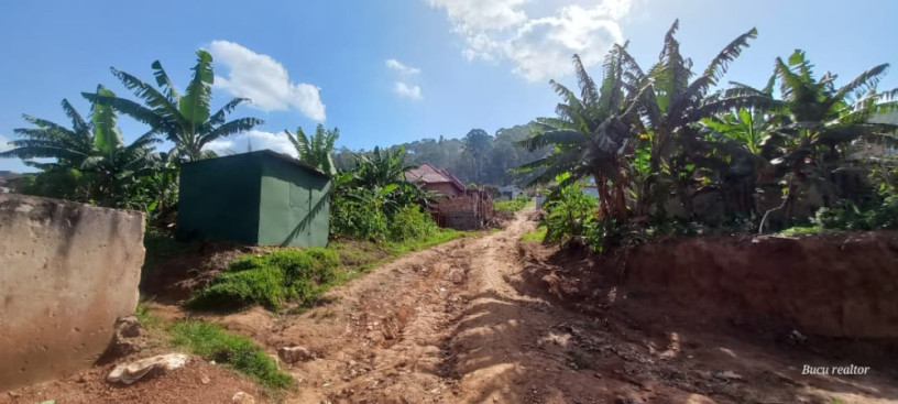 plot-for-sale-in-gisas-at-agood-place-big-1