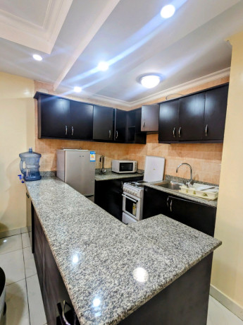 gacuriro-nice-fully-furnished-apartment-for-rent-in-kigali-big-2