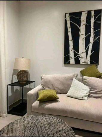 this-is-beautiful-fully-furnished-apartments-rebero-big-10