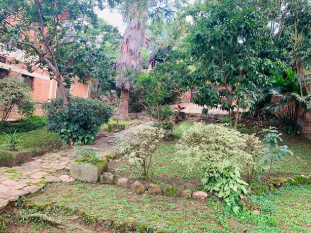 ep-109-nyarutarama-nyarutarama-very-nice-big-house-for-sale-with-big-plot-big-4