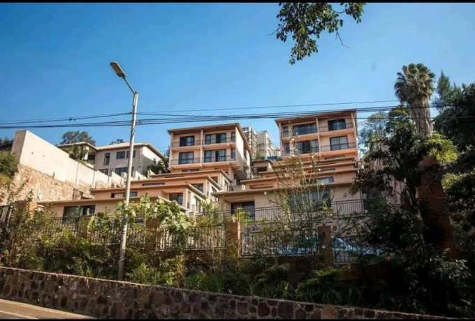 gishushu-fully-furnished-2bedrooms-apartment-for-rent-at-1m-in-good-location-big-2