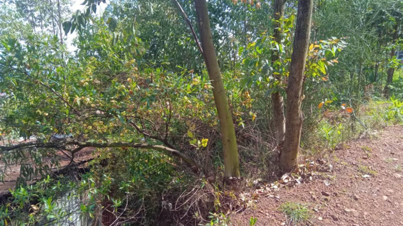 plot-for-sale-in-rebero-with-panoramic-view-of-kigali-city-big-6