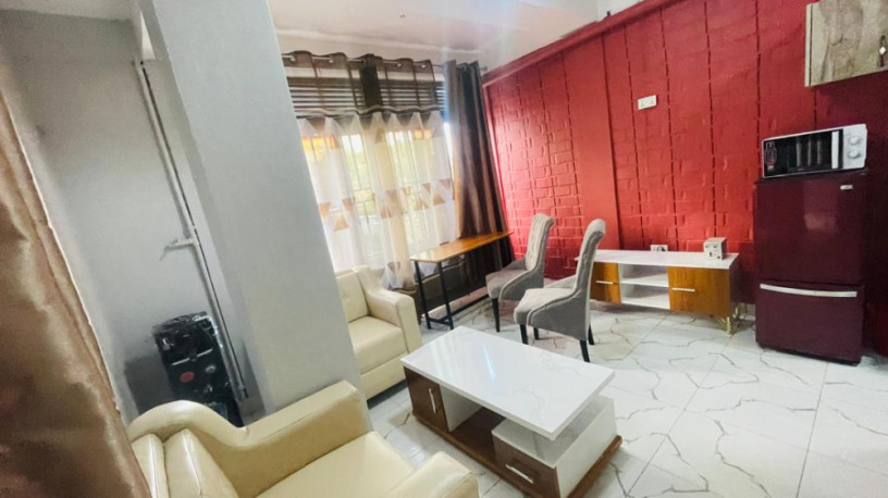 bk-16-nyarutarama-very-beautiful-and-amazing-full-furnished-apartment-available-for-rent-big-6