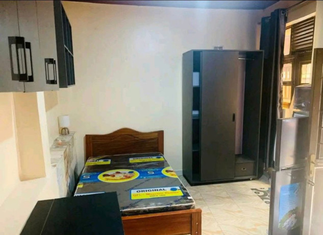 kigali-fully-furnished-apartment-for-rent-in-kiyovu-big-2