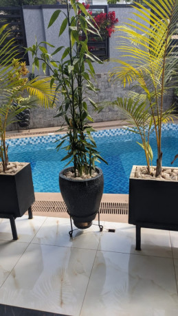 bb009-kibagabaga-very-nice-fully-furnished-apartment-for-rent-big-2