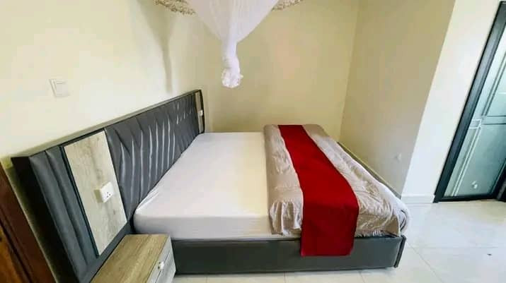 remera-near-kisimenti-2-bed-2-bath-furnished-apartment-for-rent-big-3