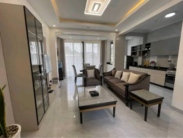 new-full-furnishednew-full-furnished-apartment-for-rent-in-kimihurura-big-3