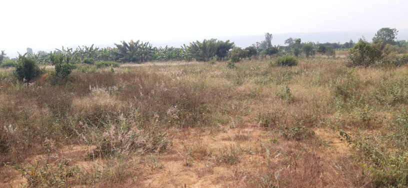 industial-land-for-sale-in-gahanga-kigali-big-0