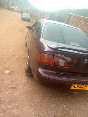 toyota-corolla-big-8