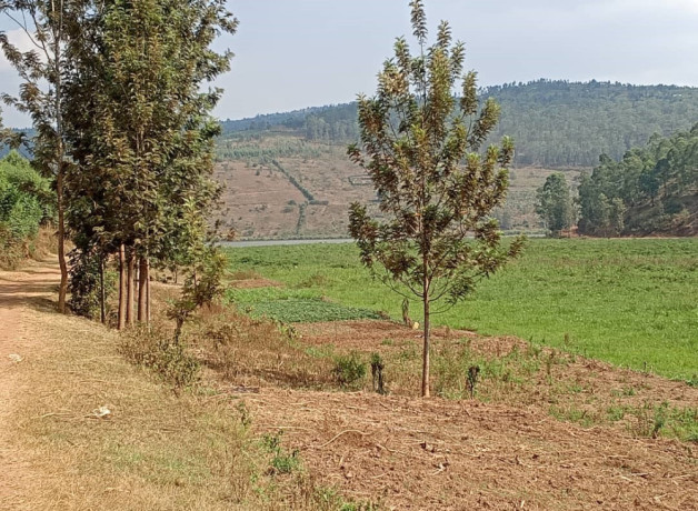 agricultural-land-for-sale-at-gatsibo-big-2