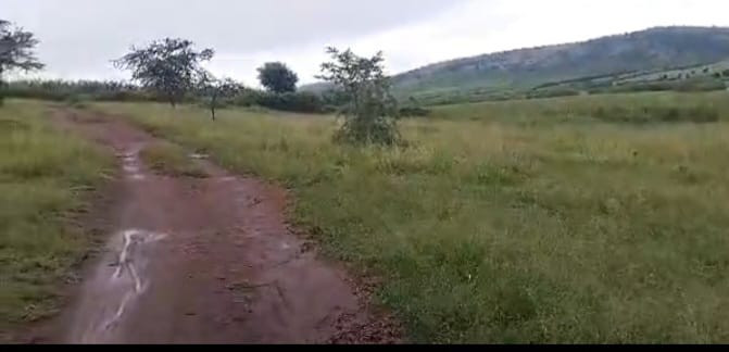 land-agricultural-for-sale-at-kayonza-big-2