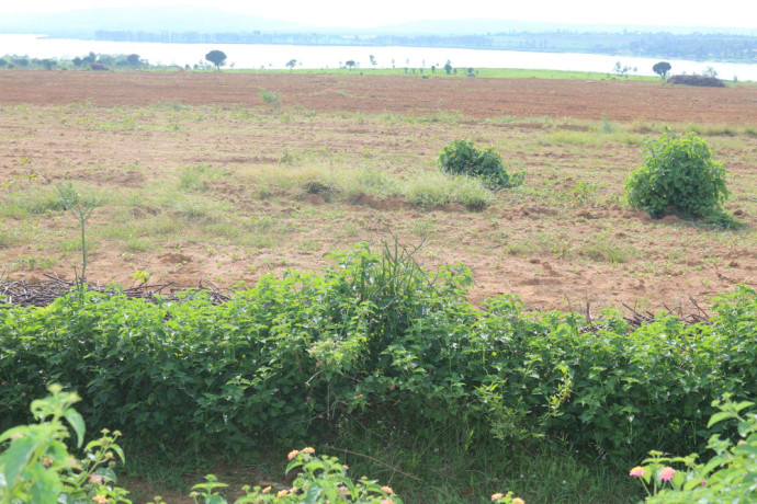 plot-for-sale-in-bugesera-near-airport-hot-deal-view-of-lake-big-1