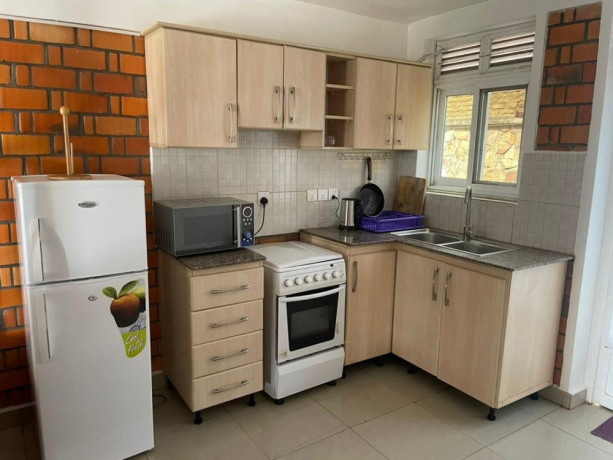 fully-furnished-apartment-for-rent-in-kigali-remera-big-3