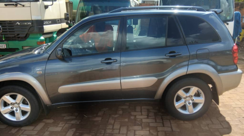 toyota-rav4-big-1