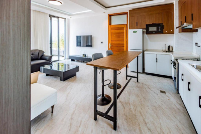 nyarutarama-fully-furnished-2bedrooms-apartment-for-rent-at-1250-in-good-location-big-11