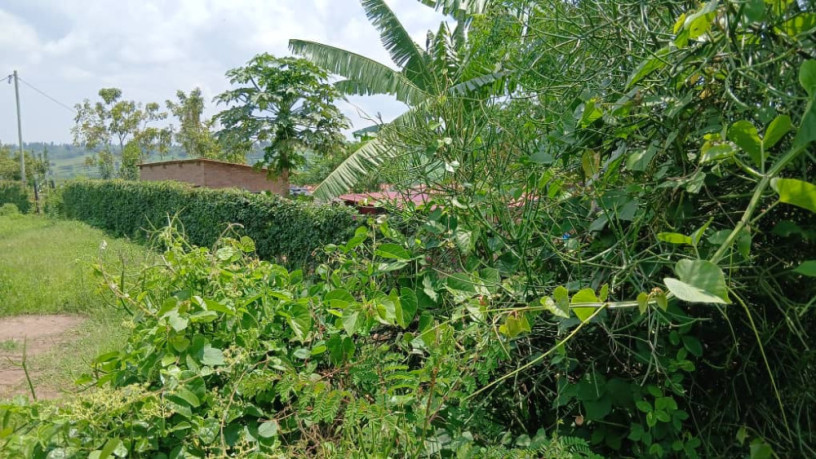 gatsibo-muhazi-plot-for-sale-big-2