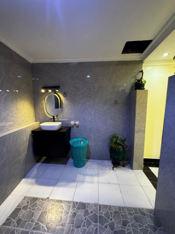 gishushu-1bed-1bath-furnished-apartment-for-rent-in-kigali-big-4