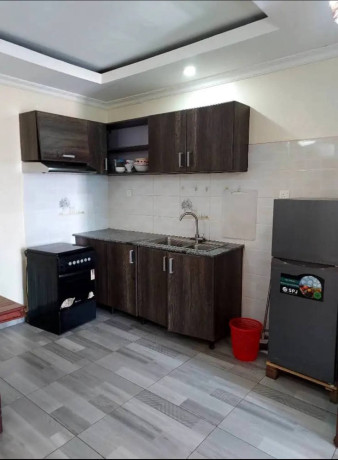 full-furnished-apartment-for-rent-in-kagugu-big-5