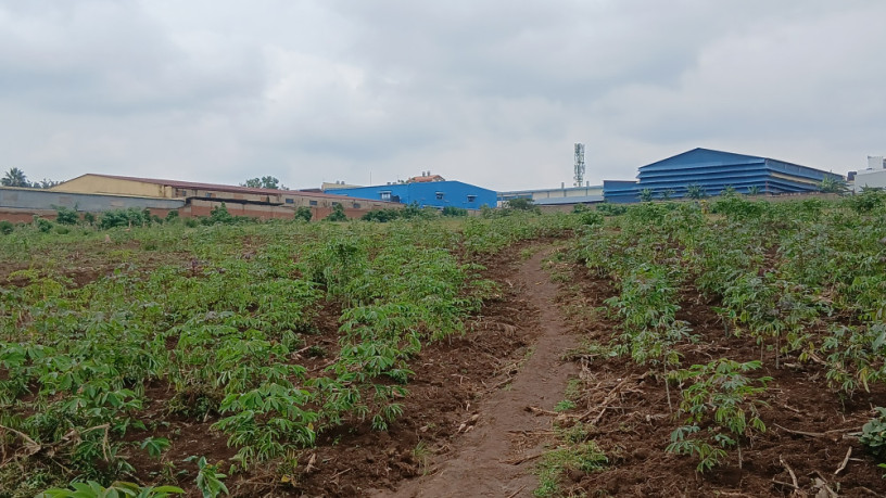 industrial-big-land-for-sale-big-3