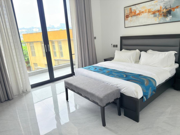 kimihurura-nice-furnished-apartment-for-rent-in-kigali-big-8