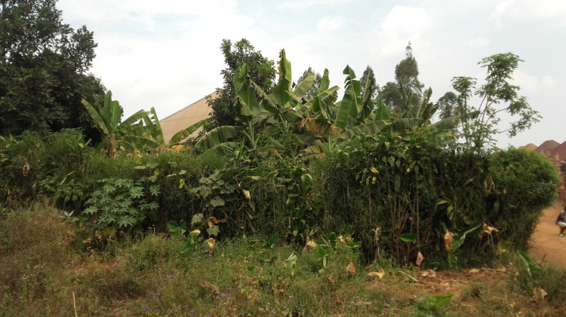 largest-land-for-sale-with-a-house-big-11