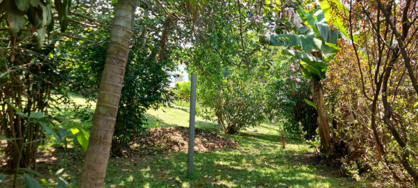 kigali-nice-house-available-for-rent-in-kacyiru-big-3