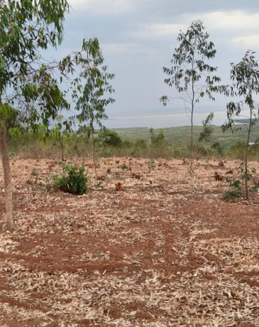 bugesera-plots-for-sale-in-kanzenze-big-1