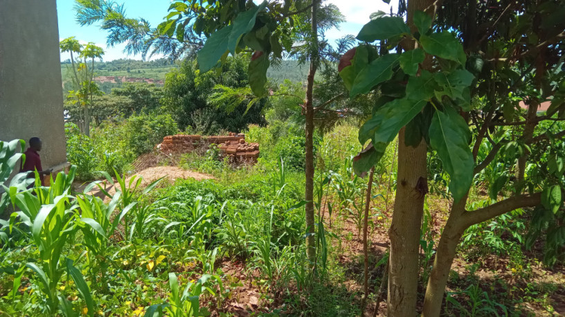 large-plot-for-sale-in-bugesera-big-8