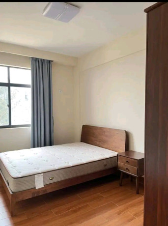 kagugu-furnished-3-bedrooms-apartment-for-rent-at-1m-in-good-location-big-5