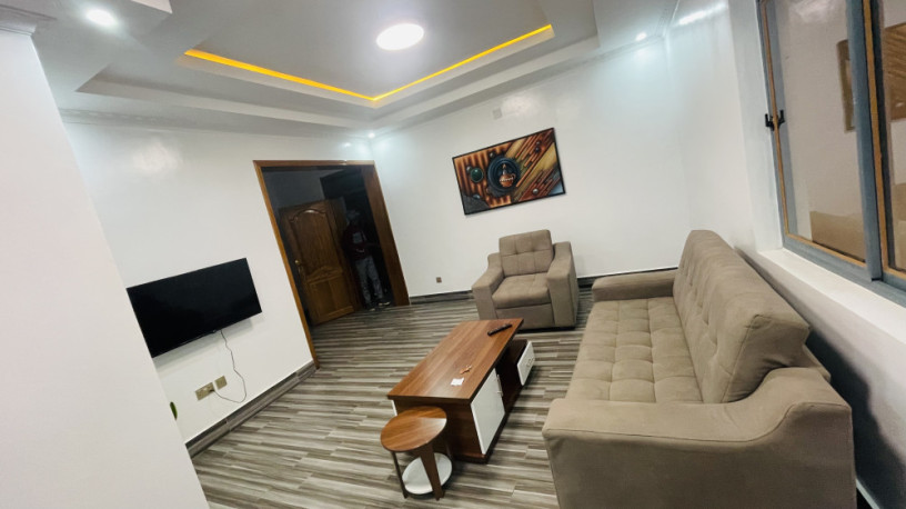 remera-fully-furnished-apartment-for-rent-in-kigali-big-0