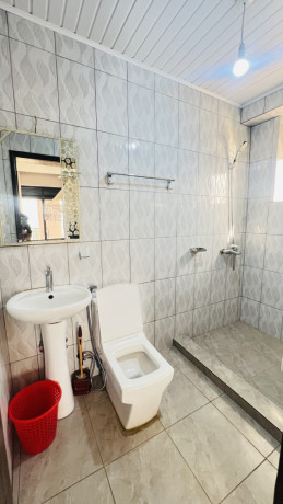 remera-sonatube-2-bed-2bath-furnished-apartment-for-rent-big-10