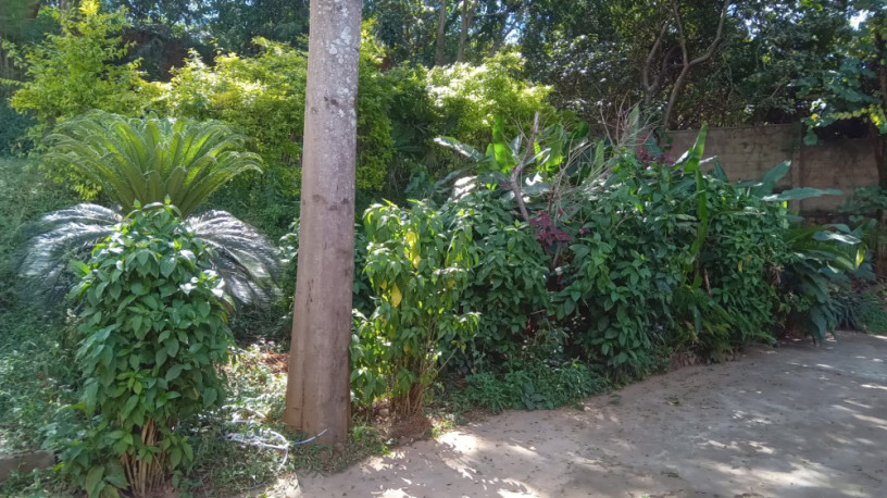 kiyovu-plot-for-sale-big-5