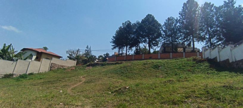 nyarutarama-plot-for-sale-500m-big-2