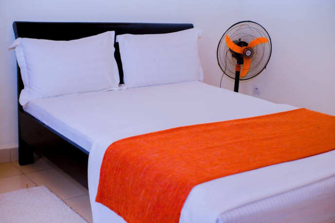 kimihurura-furnished-apartment-for-rent-in-kigali-big-4