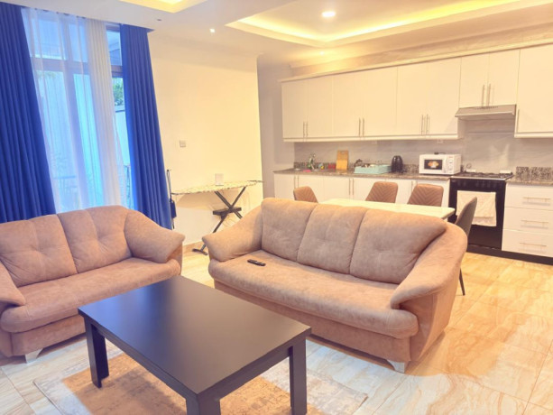 kibagabaga-nice-fully-furnished-apartment-for-rent-in-kigali-big-7