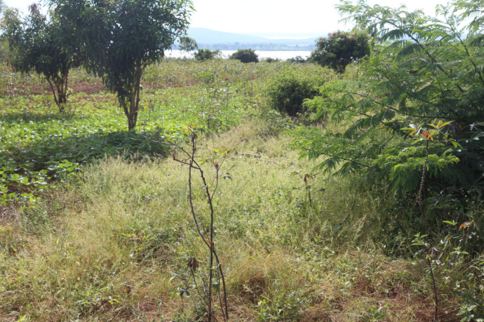 land-for-sale-in-bugesera-nyamata-town-of-rwanda-big-0
